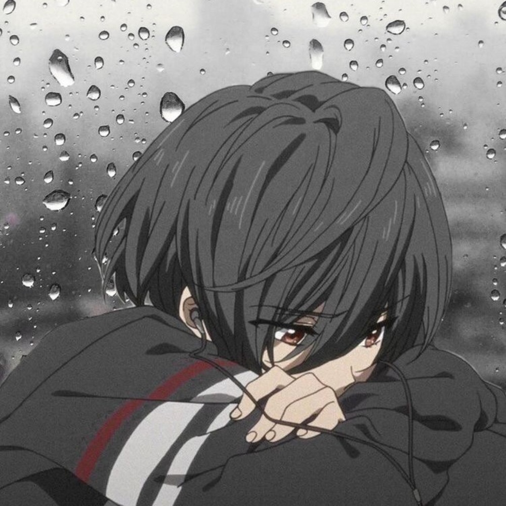 Meet your Posher, Junior